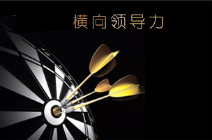 Lateral Leadership 橫向領(lǐng)導(dǎo)力©